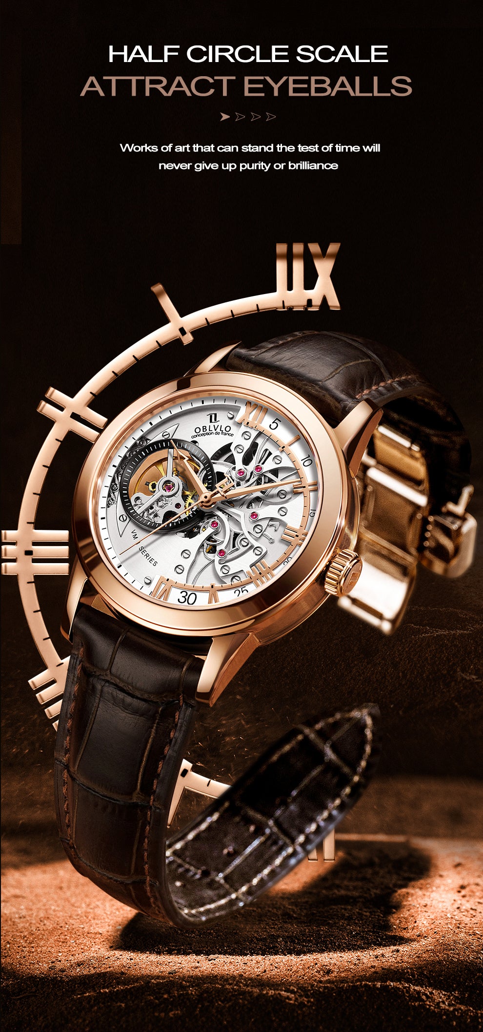 Luxury Men's Automatic Skeleton Watches