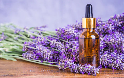 What are the Benefits of Lavender Oil?