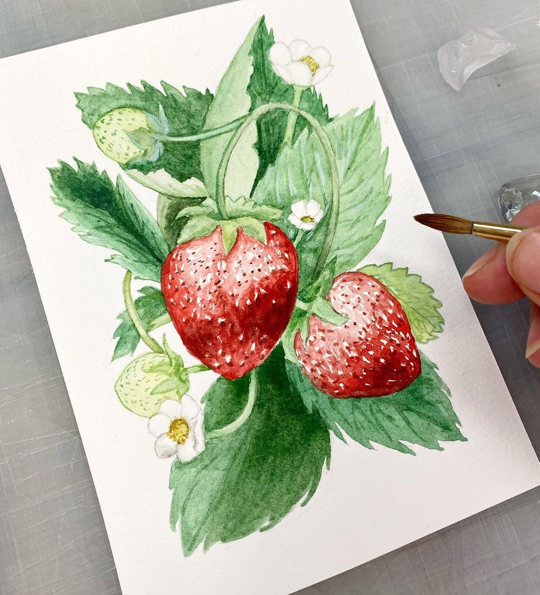 Fruit Watercolor Painting 2