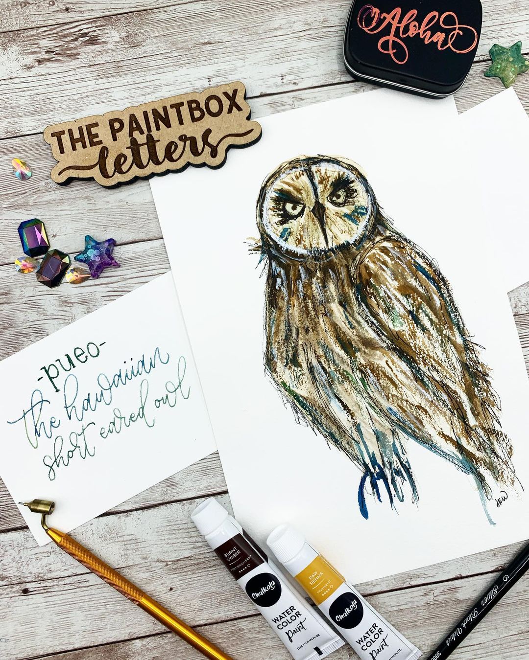 Owl Watercolor Painting 1