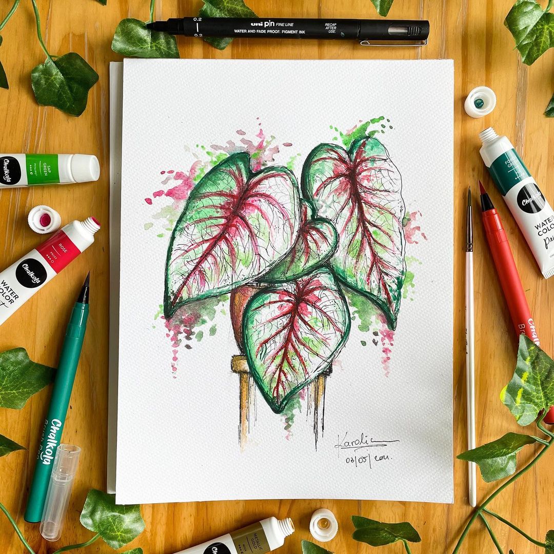 Plant Watercolor Painting 2