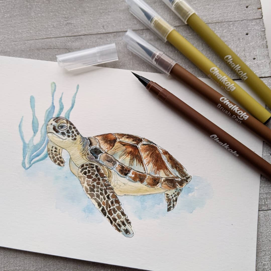 Turtle Watercolor Painting 2