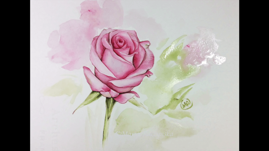 finished rose
