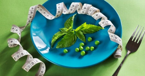 stevia sugar helps in weight control