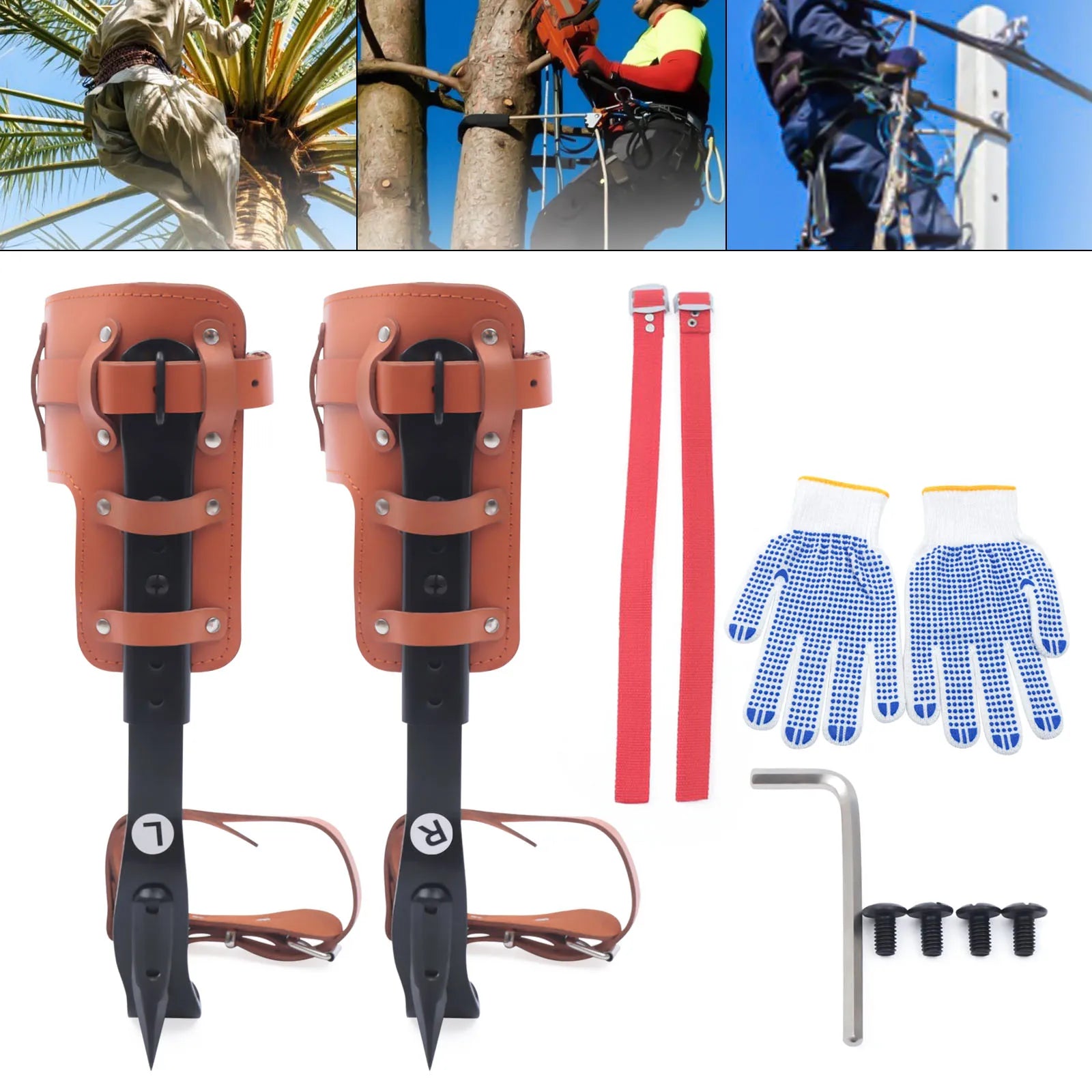 Tree Climbing Spike Set