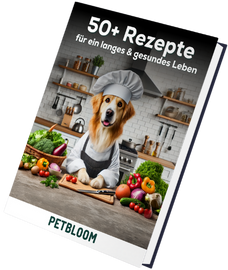 Kochbuch E-Book