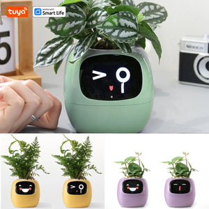 Tuya Ivy Smart Planter,Endless Fun Over 49 Rich Expressions,7 smart sensors,AI Chips Make Raising Plants Easy and Fun - Launch Panda's