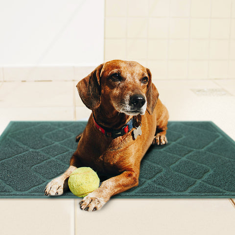 PVC Mesh Pet Mat-Display2-Weidan