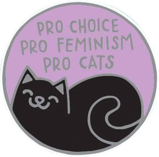 Punky Pins - Black & Silver Pro Cats Vinyl Sticker - Buy Online ...