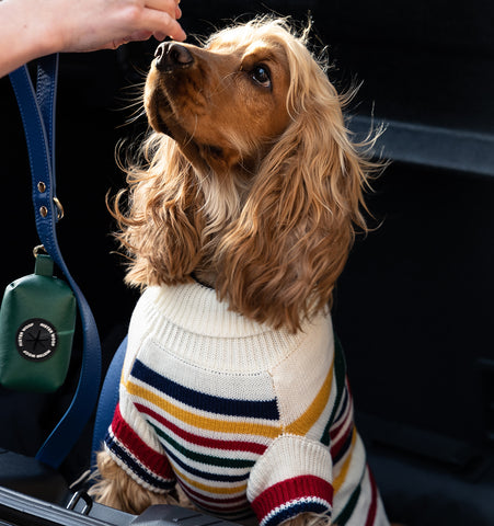 Mister Woof's luxe pet knitwear has been designed for the most fashionable around town. Shop the Karlsson Knit long sleeved dog sweater and enjoy free shipping on orders over $100.