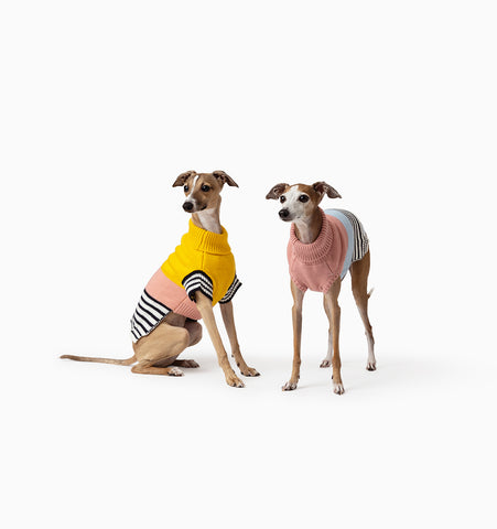 Mister Woof's Italian Greyhound models Harper and Marni wear the Harlow and Hallie Knit both in size small. The knits perfectly compliment each other.