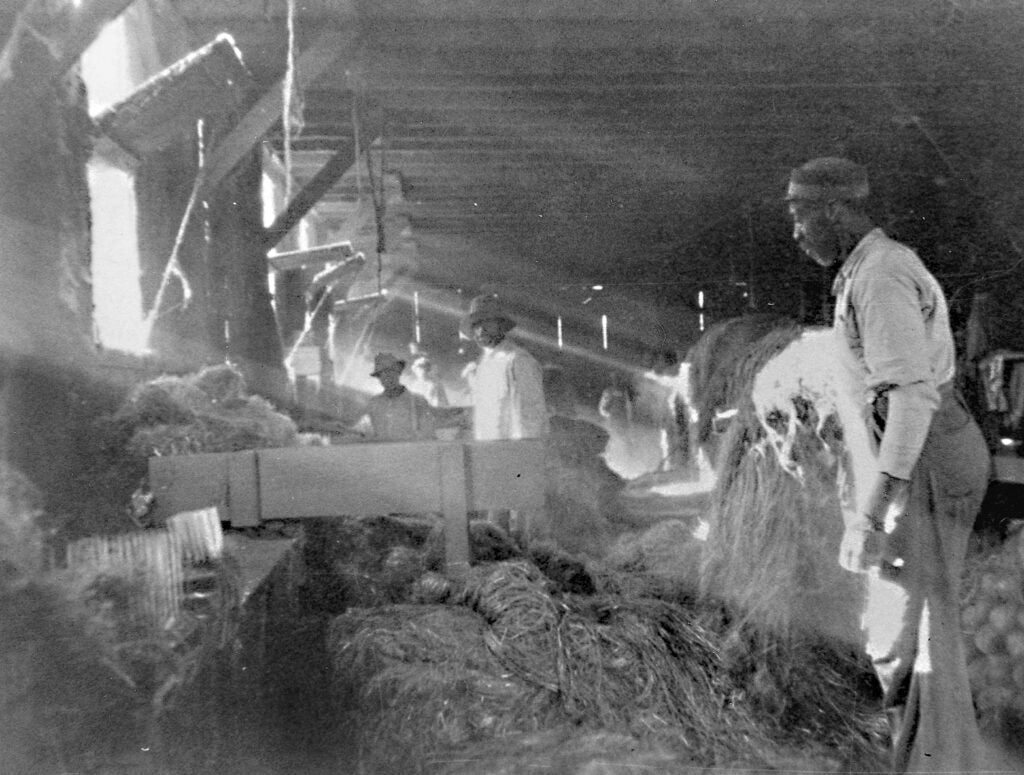 hemp slavery in factories