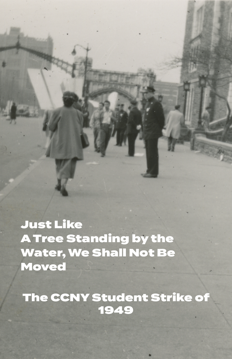 Just Like A Tree Standing by the Water, We Shall Not Be Moved: The CCNY Student Strike of 1949 - Screen_Shot_2022-04-10_at_3.54.34_PM