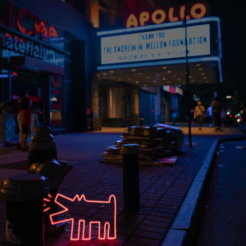 Keith Haring Barking Dog LED Neon Sign - YPxKeithHaring-BarkingDogV2-square