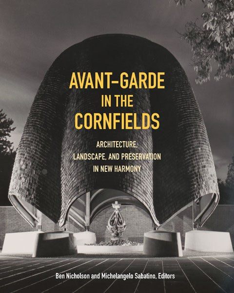 Avant-Garde in the Cornfields - large
