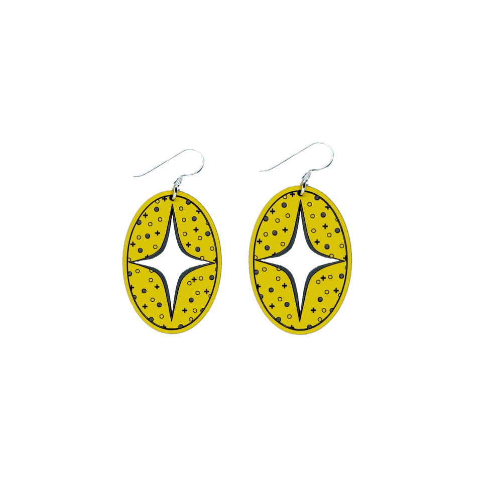 Wičhahpi Earrings by Dyani White Hawk - IMG-3584