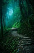 Candles - Light Your Path