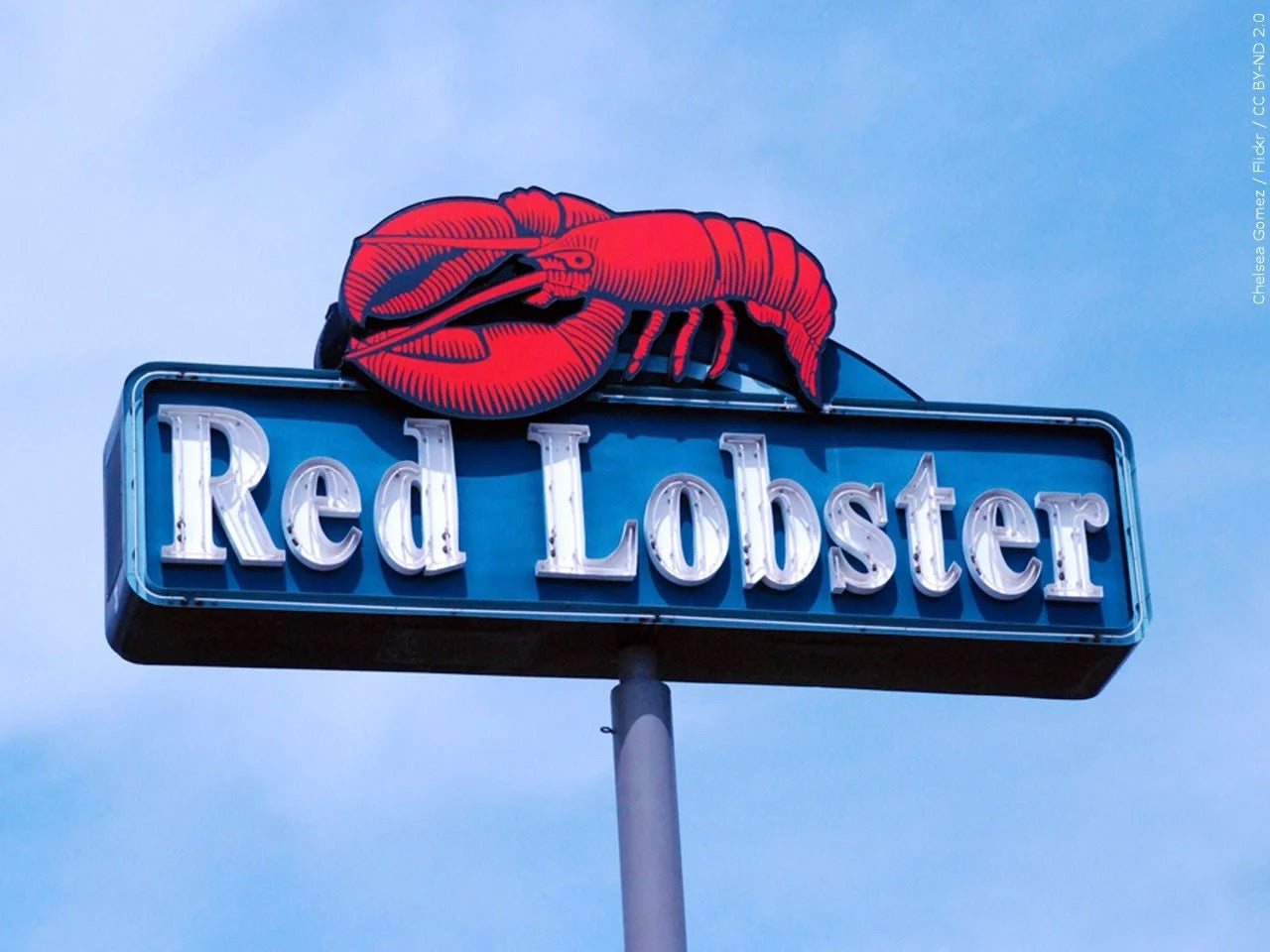 From Sea to Shining Bankruptcy: How America's Appetite Sank The Red Lobster Empire