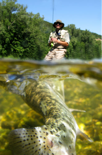 Southern Wild Fishing