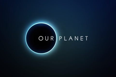 our planet