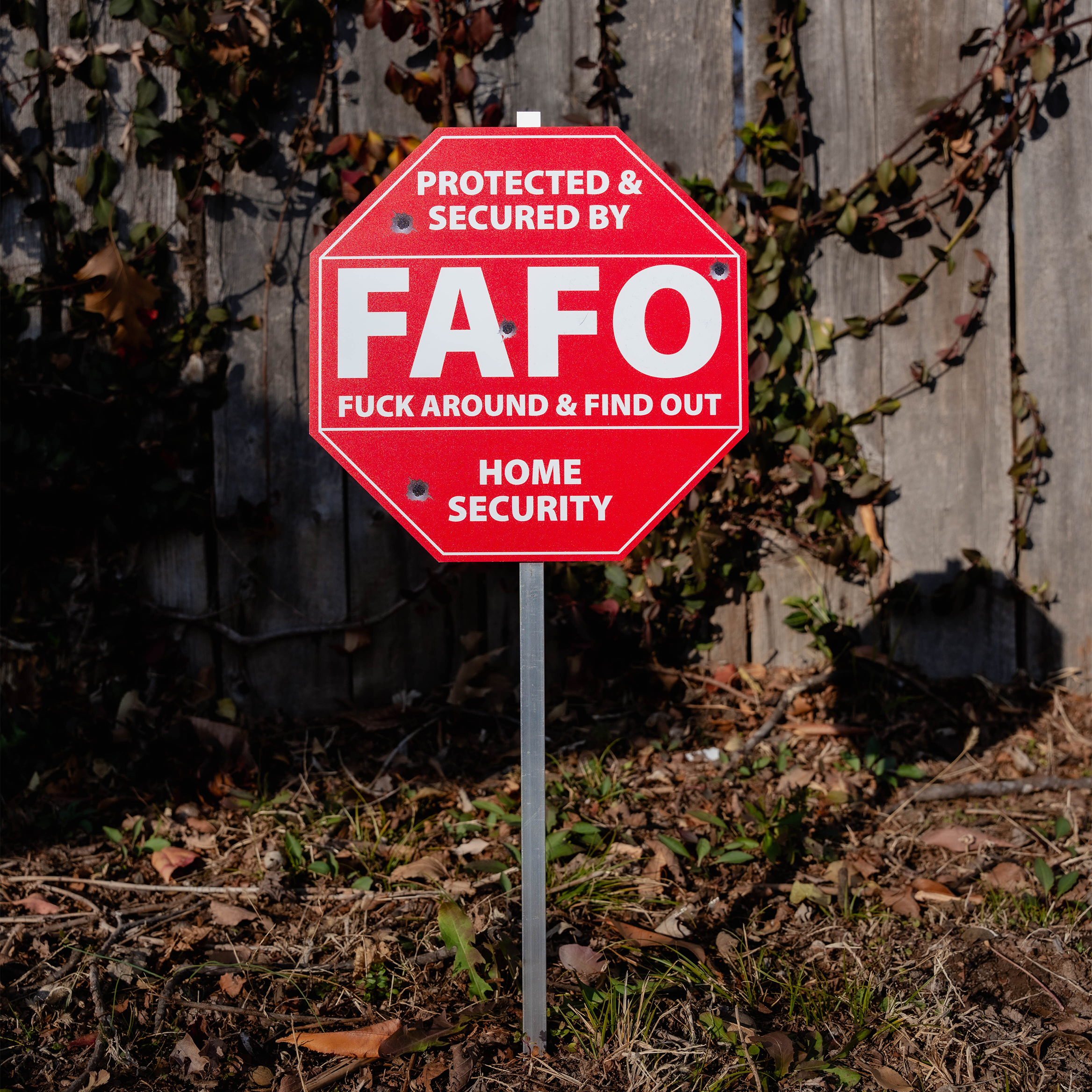 Image of FAFO Yard Sign