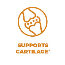 support cartilage