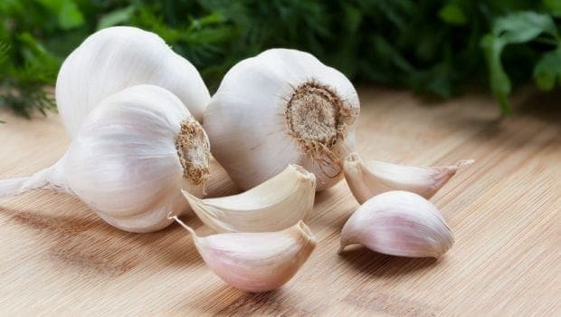 garlic.jpg