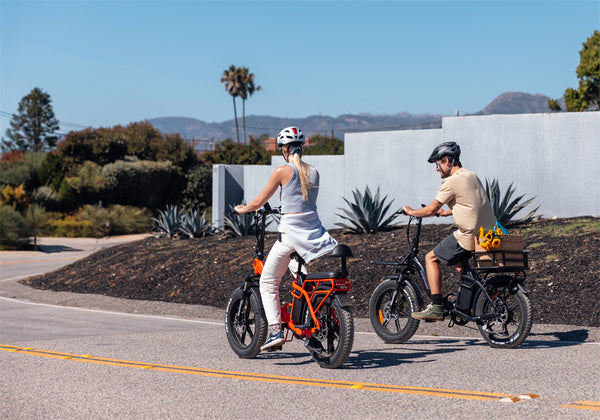 Tesway folding electric bike