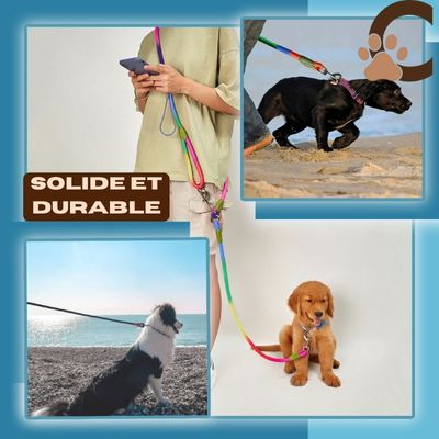 laisse-main-libre-chien-solide-et-durable