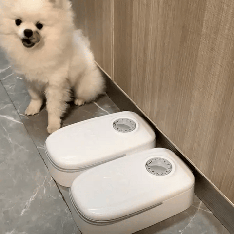 Closed pet feeder next to a measured portion of dry food, emphasizing portion control for pet health.