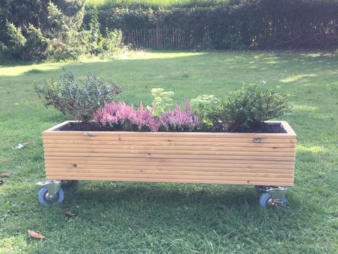 planter with castors/wheels