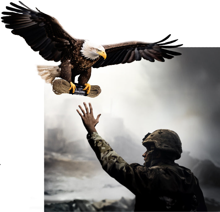 deliver only the made in usa eagle delivered to people who need it most like soldiers seriously you guys rock