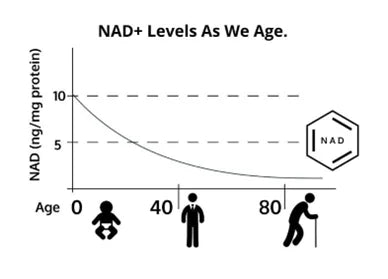 NAD Level as we age