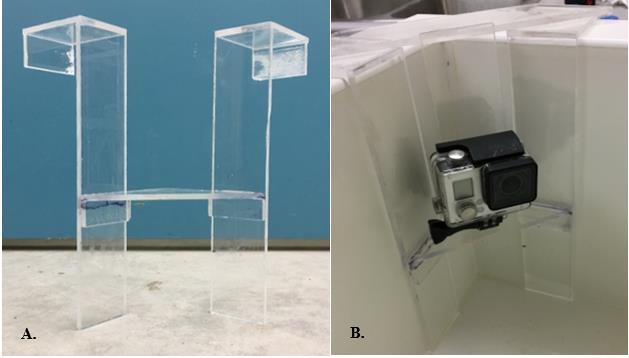 Figure 2. Fabricated plexiglass frames (A) that secured cameras (B) to the corners of observation tank.