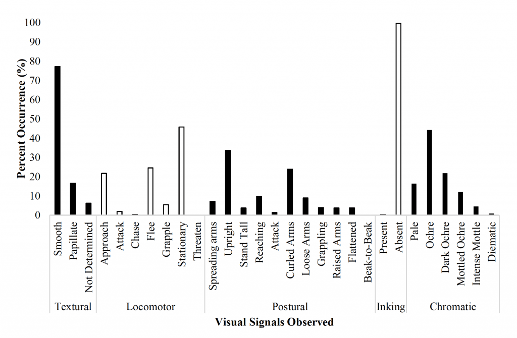 Visual-Signals-Observed