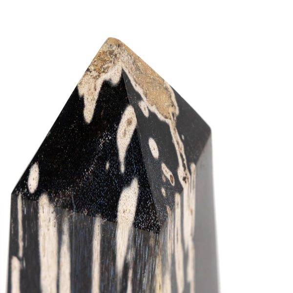 Four Hands Petrified Wood Obelisk - Dark Petrified