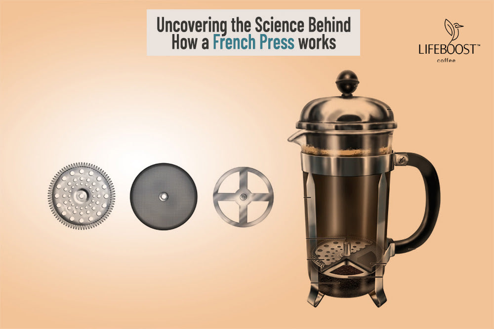How to Make Coffee Using A French Press