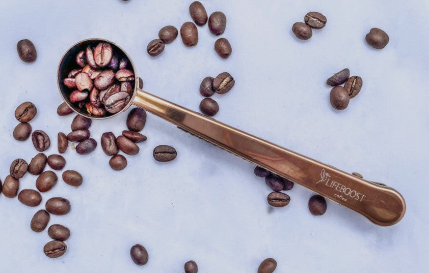 Copper Lifeboost Coffee Scoops