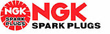 NGK Performance Auto Parts