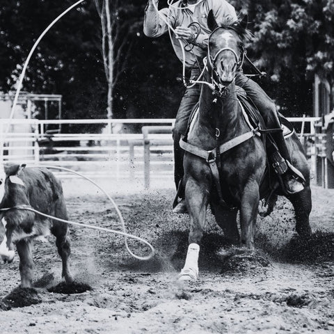 team roping