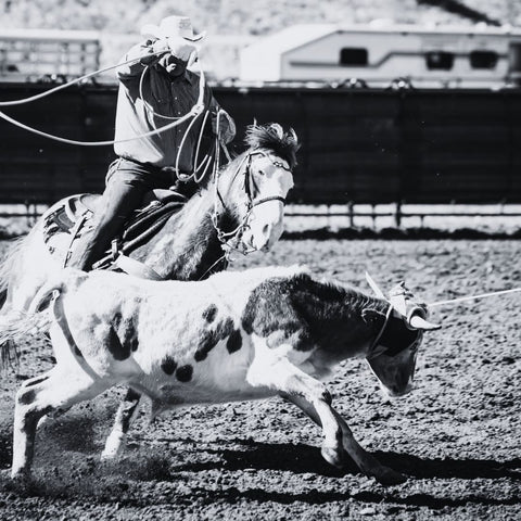 roping cattle