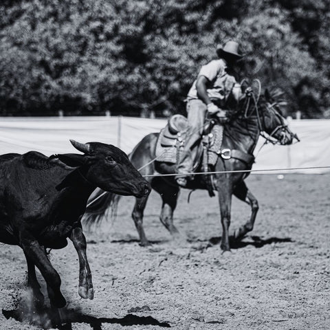 team roping