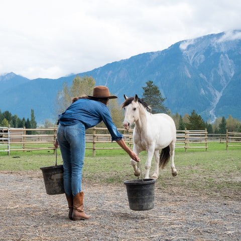 woman feeding her horse