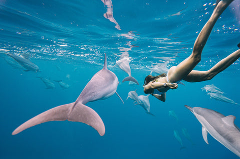 Kirill Umrikhin swimming with Dolphins and Outex underwater housing