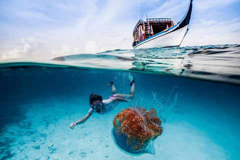 Méduse, nageur, bateau Image de Paul Toma avec dôme extérieur 120 mm basse résolution