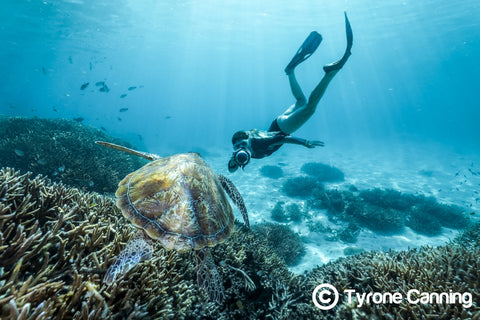 La photographe de la Grande Barrière de Corail, Joeva Dachelet, vend des tirages sous-marins dans des complexes hôteliers, des boutiques et en ligne 6