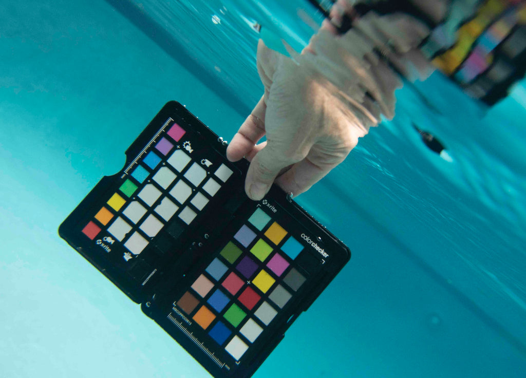 Calibrating white balance for underwater photography explained simply