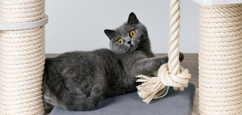 Cat scratch post rope cotton twines for cat toys