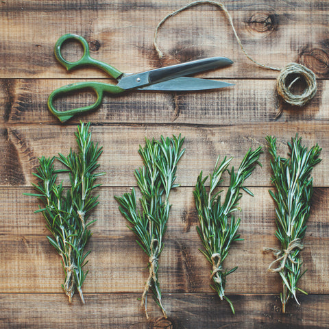 Cotton string holding herbs together