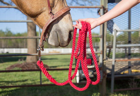 Ravenox Twisted Cotton Rope Horse Leads